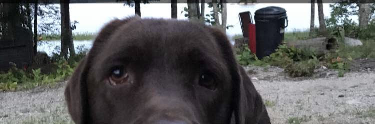 Bryceharmon15's profile banner image