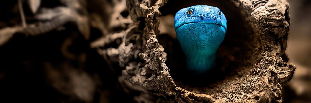 NsokaA's profile banner image