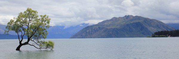 InesHrg Profile Banner