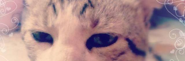 _atrika_'s profile banner image