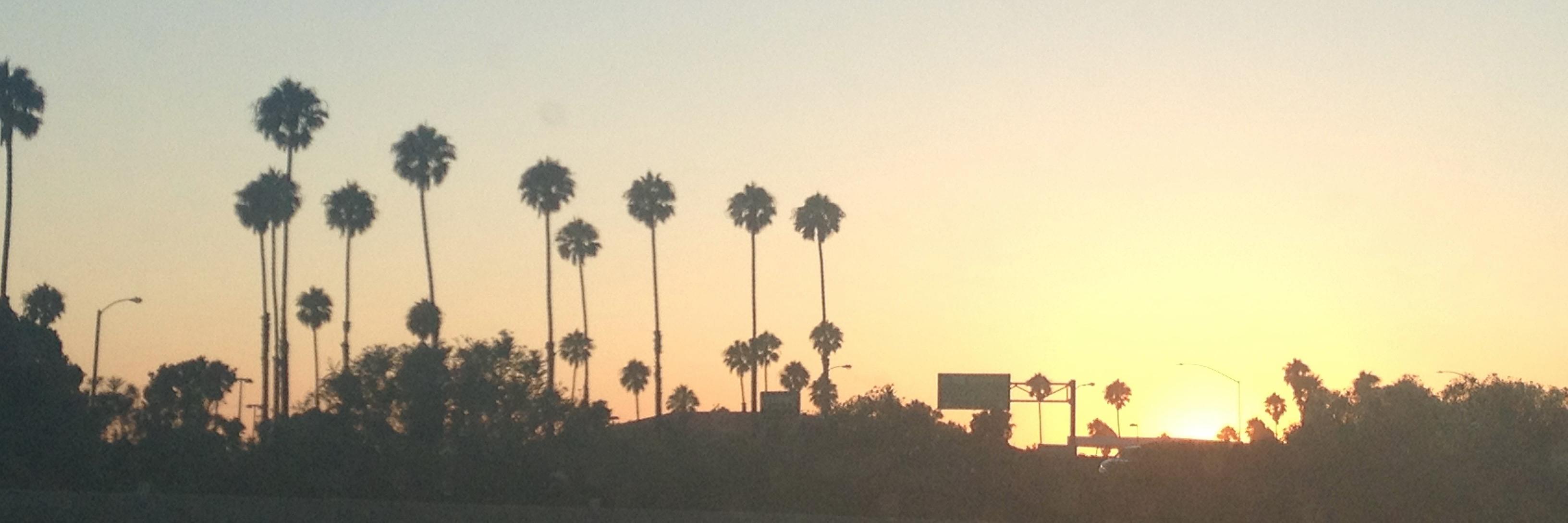 Anaileon's profile banner image
