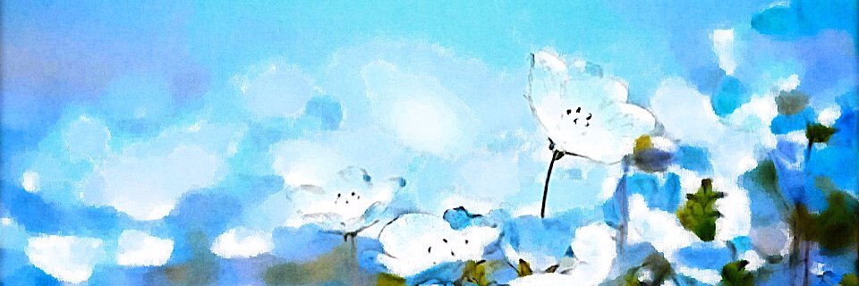 Ukitooon's profile banner image