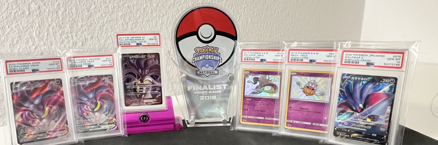 BergGeistVGC's profile banner image