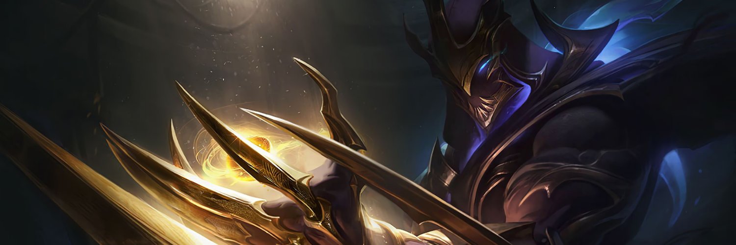 Nikko banner