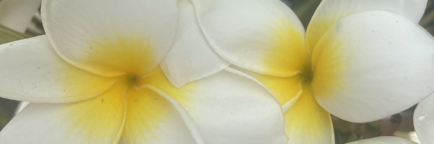 FennHelen's profile banner image