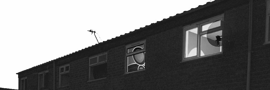 schalaverche's profile banner image