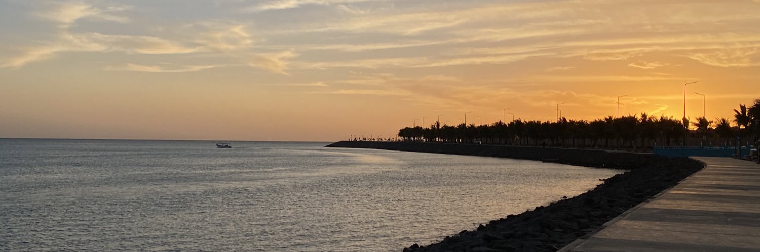 غيداء معوَّض banner
