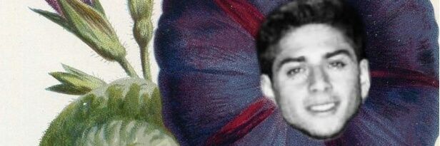 alecwavy's profile banner image