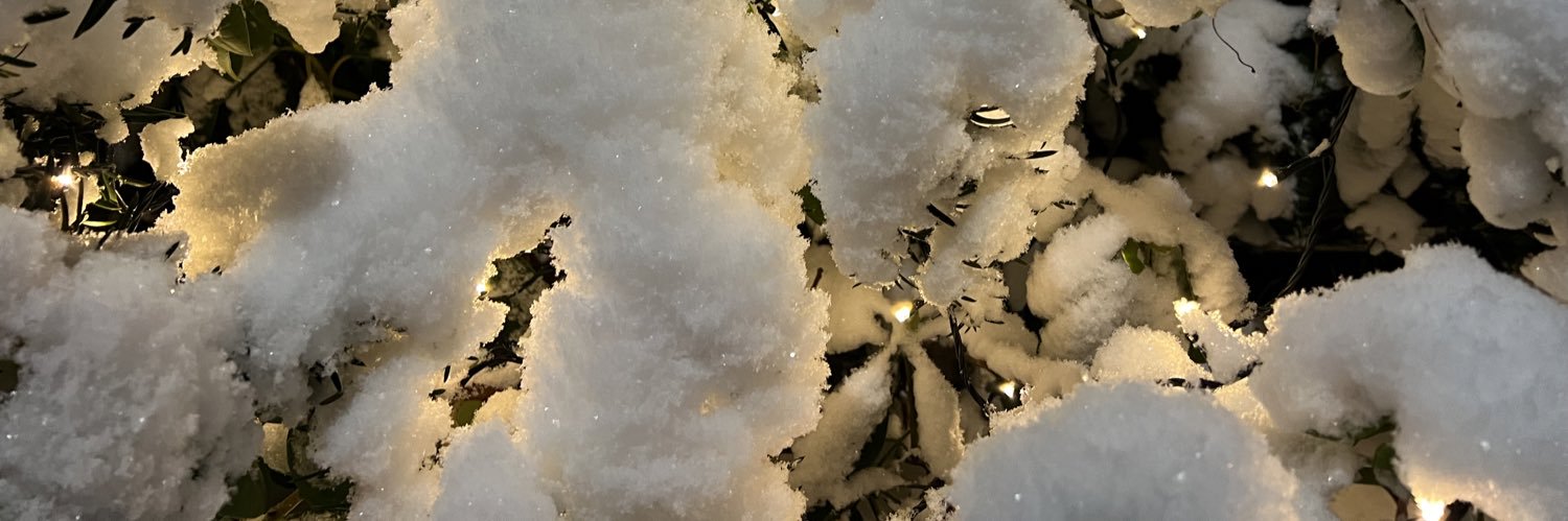 emmapaaer's profile banner image