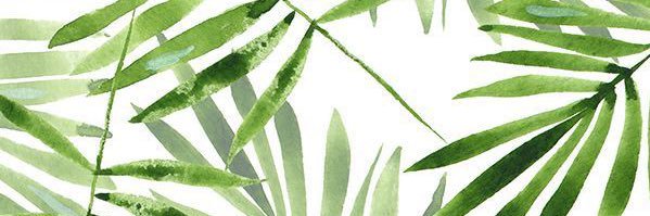 TaborHaley's profile banner image