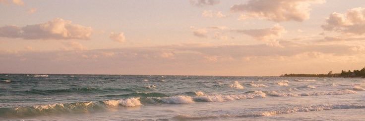 in🍃 banner