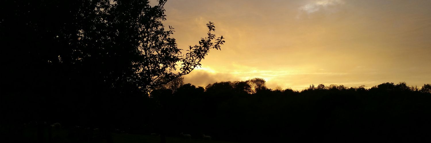 Louisa Clutterbuck banner