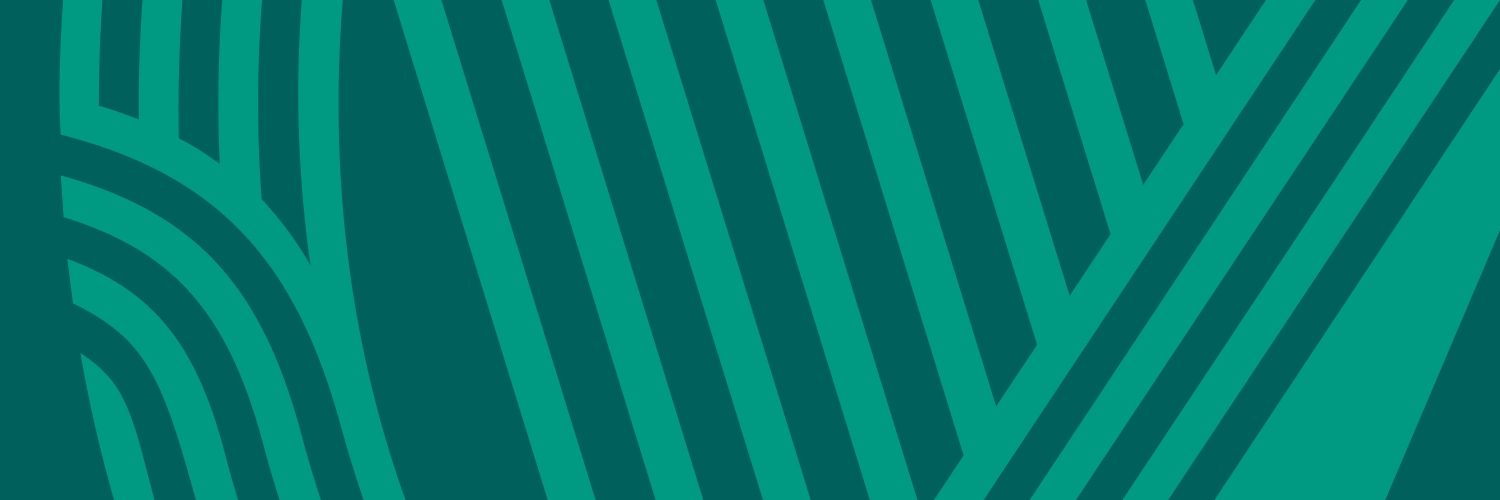 Irish Independent's banner
