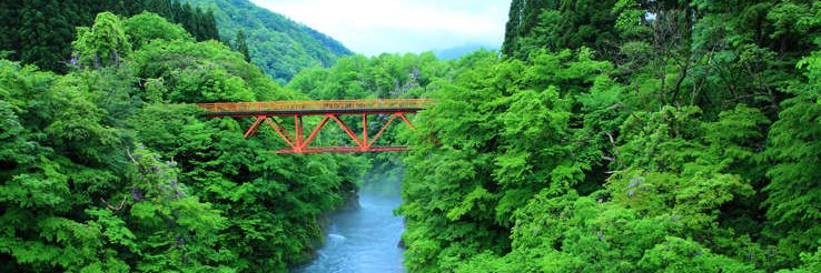matnoukh_com's profile banner image