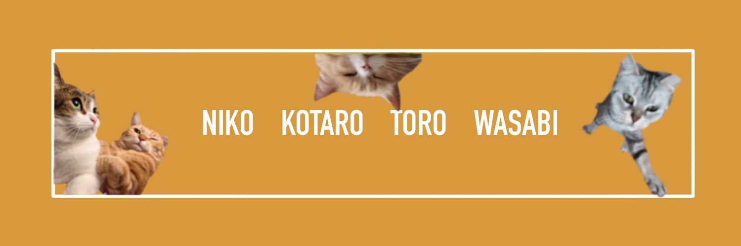 ニコちゃんとこたろう先生とトロとわさび姐さん's banner