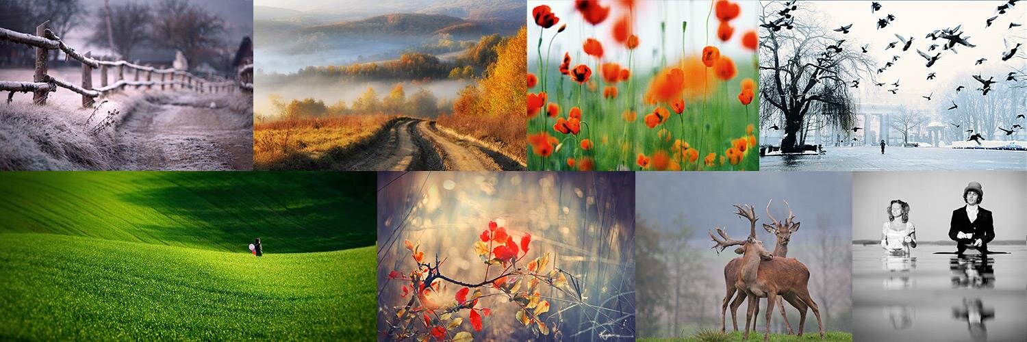 photocentra's profile banner image