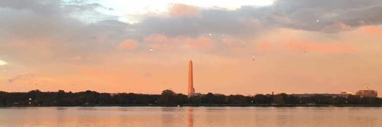 Michelle Cordero banner