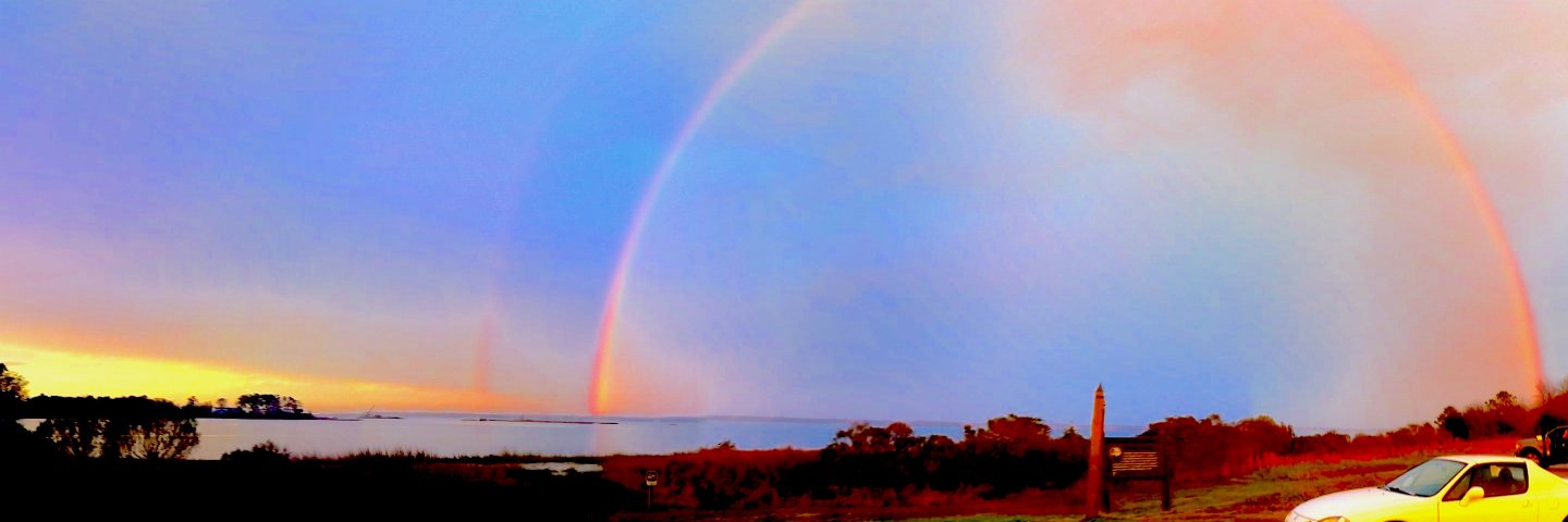 Frumious Falafel banner