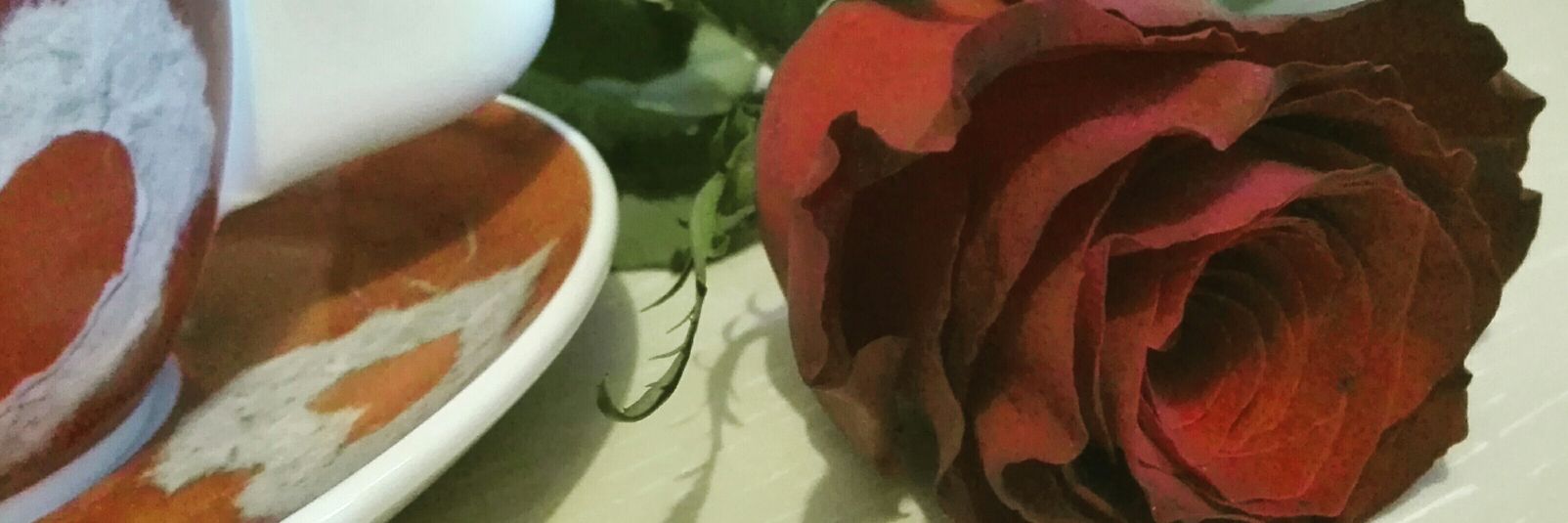 francy27's profile banner image