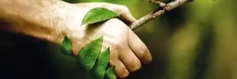 chuzzy02's profile banner image