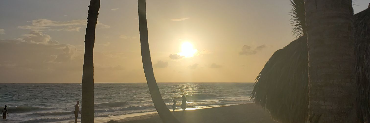 Joni Campos banner