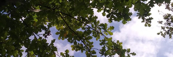 inesrobredo Profile Banner