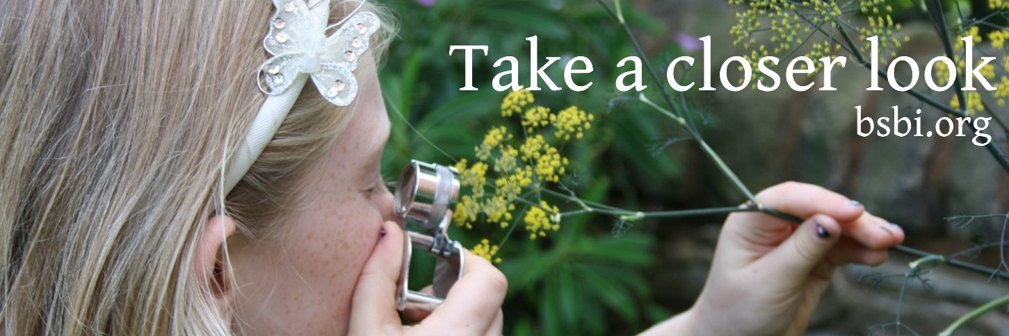 BSBI: Botanical Society of Britain & Ireland banner