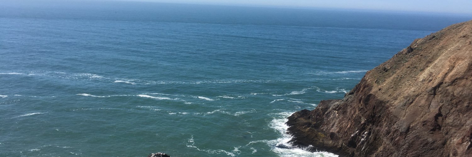 nicolegerkey's profile banner image