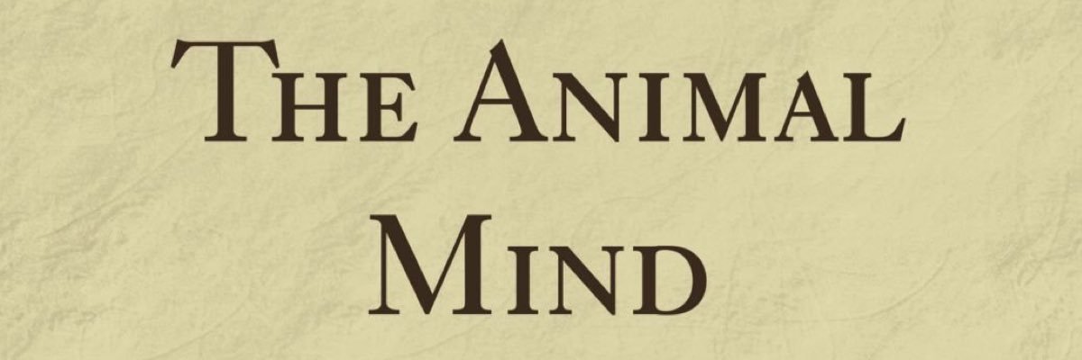 margeincharge71's profile banner image
