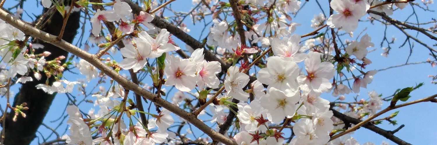 「chokladkahvi」 banner