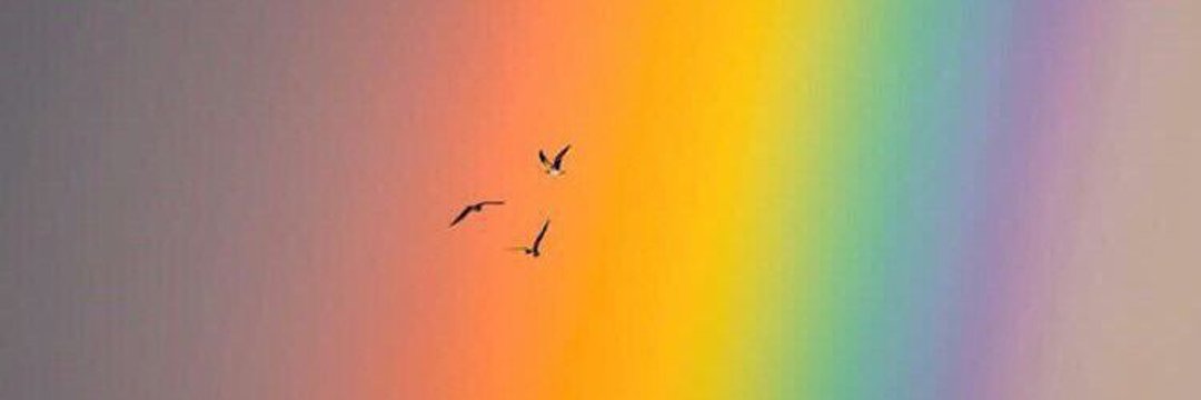 Viii__04's profile banner image