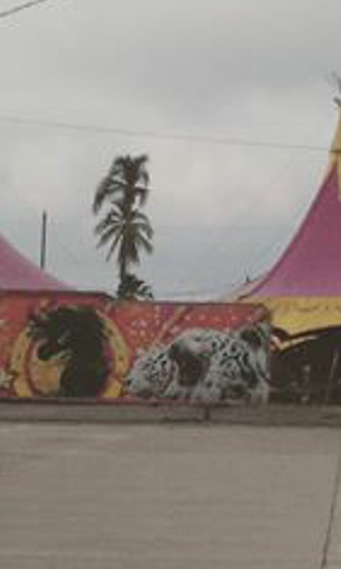 rusherdeschmitd's profile banner image