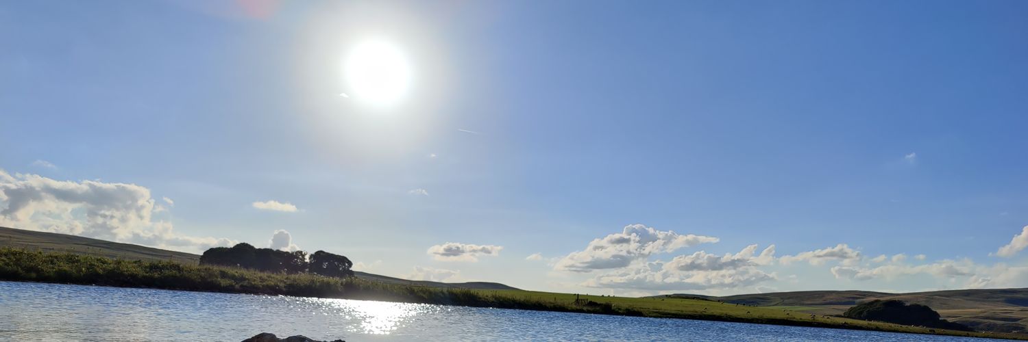 DomElliston's profile banner image