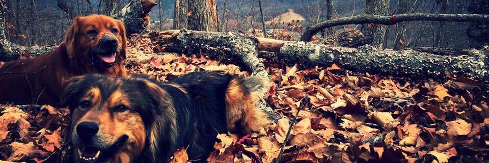 Topher_Columbus's profile banner image