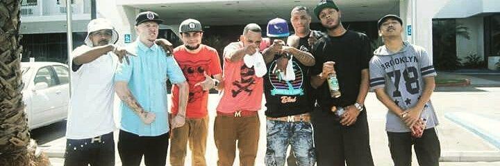 SuccaFreeDaloc banner