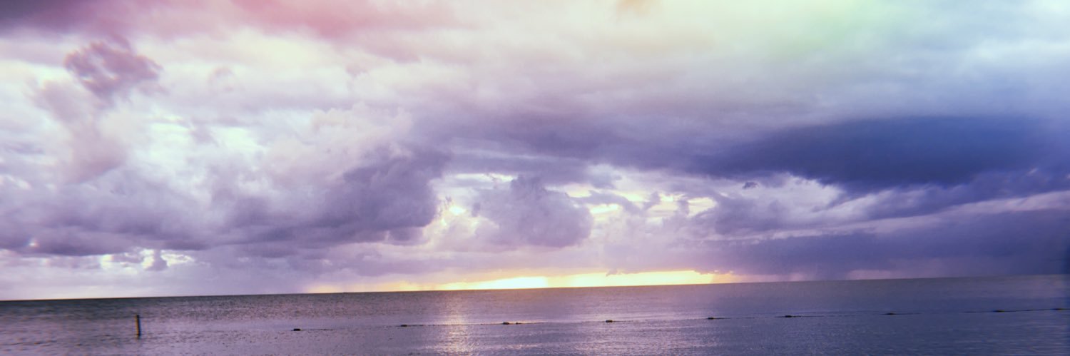 sharonjoyceee's profile banner image