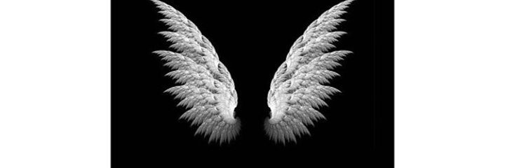 __doooo's profile banner image