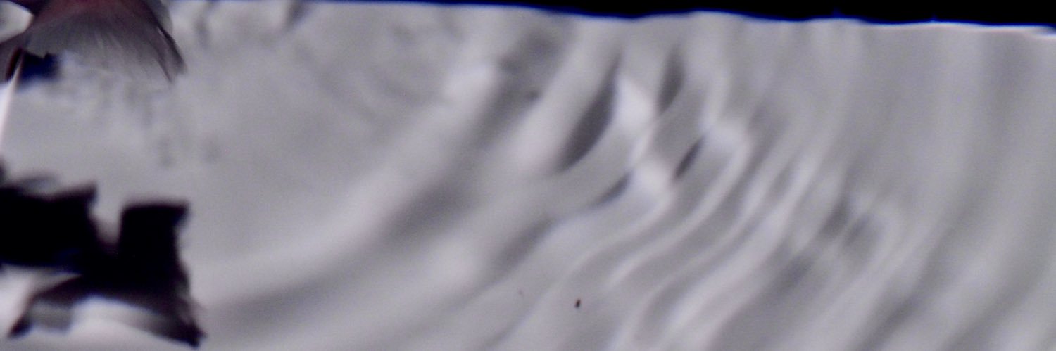 d6sxos's profile banner image