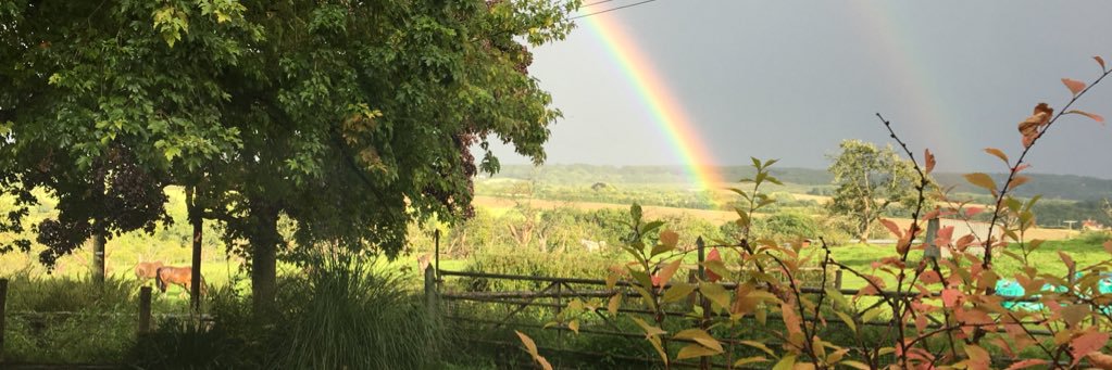 ChrisJH12's profile banner image