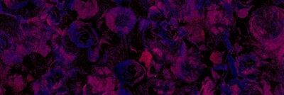 TamaraYanacon's profile banner image