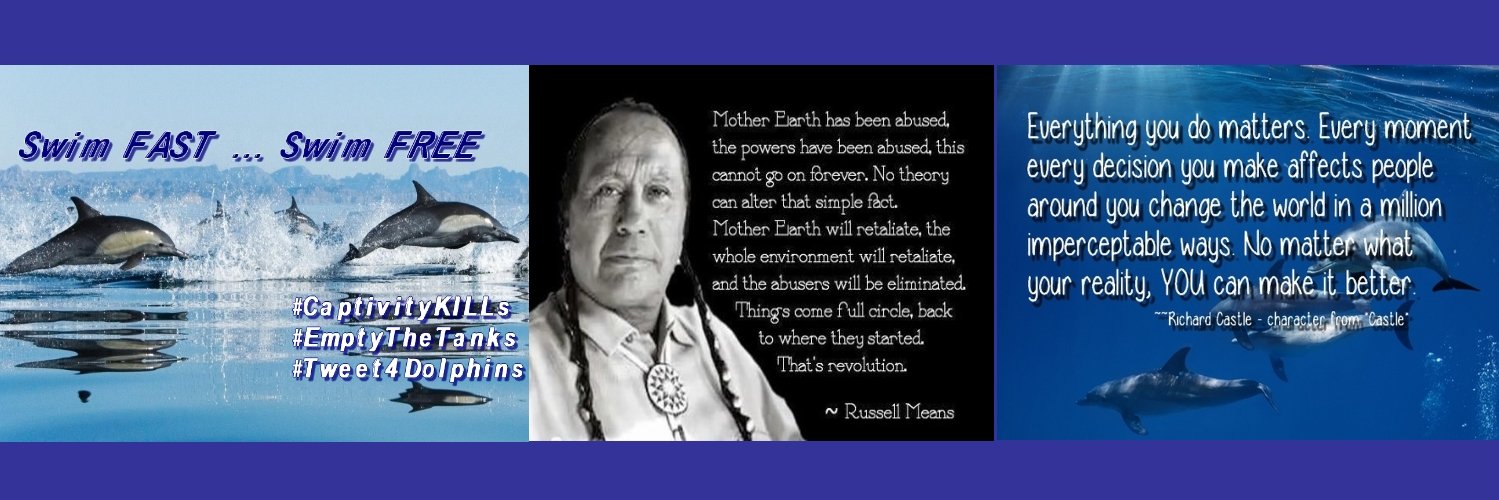 Kat - GQP are dangerous to democracy🐬🐳🌊 banner