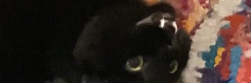 opened_tab's profile banner image