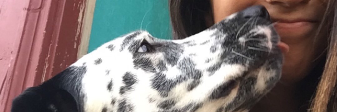 oliviaforpres's profile banner image