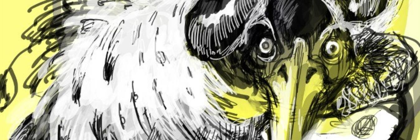 Lucius_pr's profile banner image