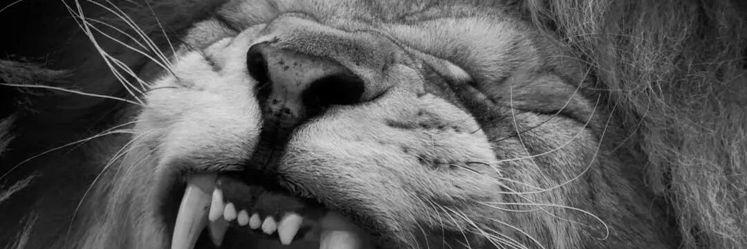alonge_tobi's profile banner image