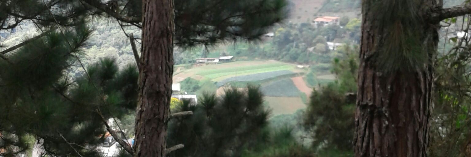 NencyPaz's profile banner image
