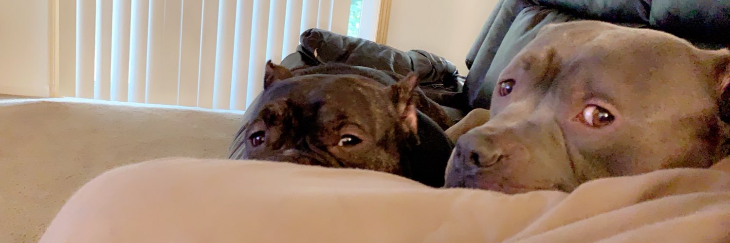 katelynpuente22's profile banner image
