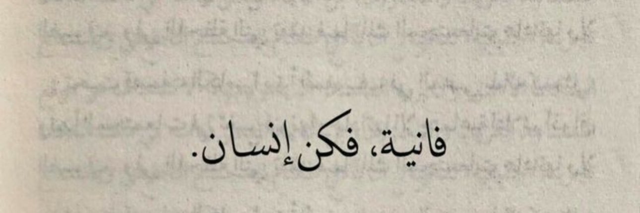 𝐍Ⓞ︎𝐍Ⓞ︎➰ banner