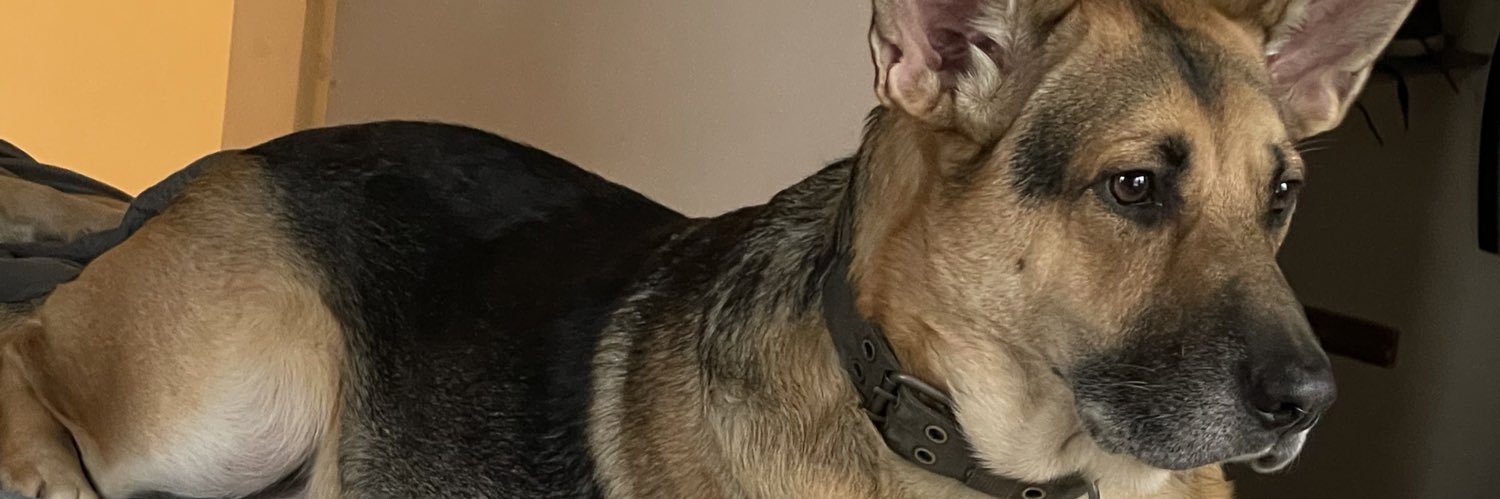 ElliotFeyjoo's profile banner image