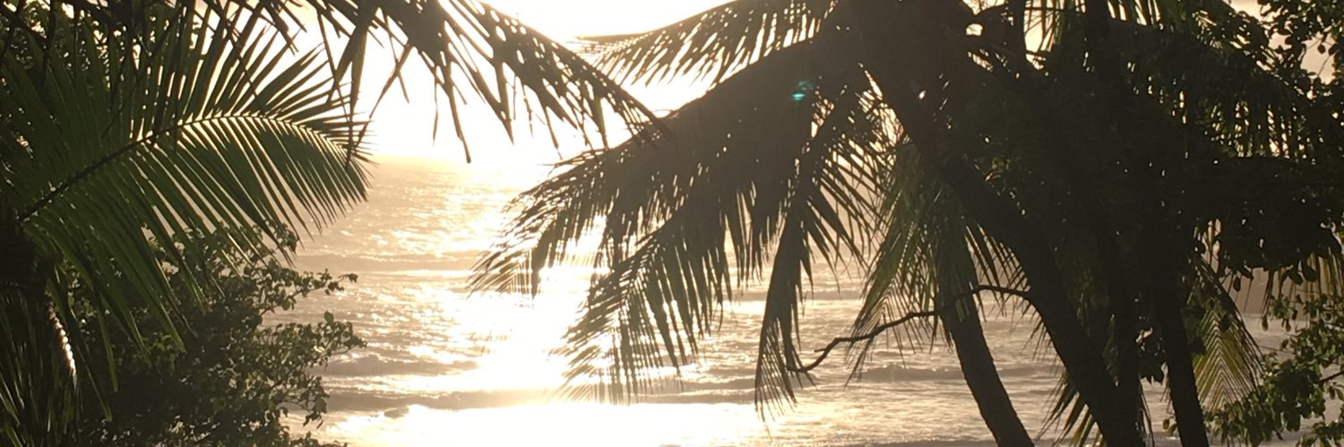 CatPeterson1's profile banner image